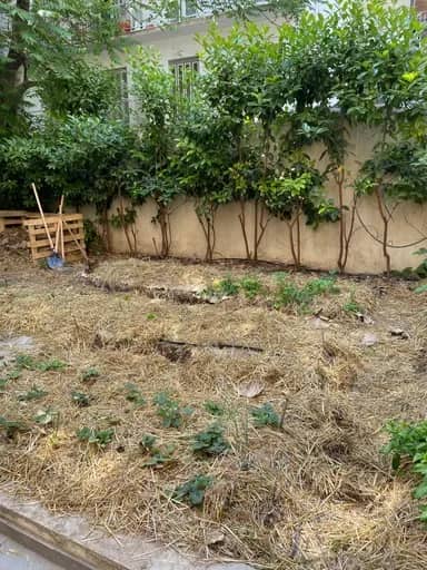 Gemeindeentwicklung in Athen (1)