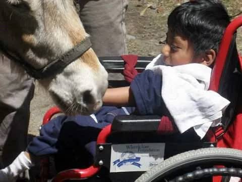 Pferd und Kind im Rollstuhl - Freiwilligenarbeit Chile