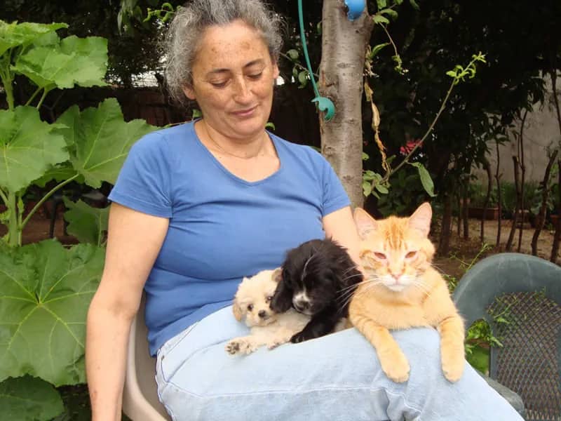 Freiwillige kuschelt mit Katzen, Chile