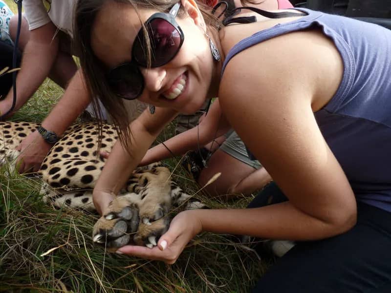 Freiwillige mit Leopard - Wild Life Projekt Südafrika