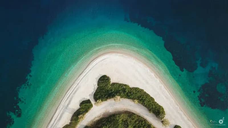 Meeresschutz auf Alonissos (1)