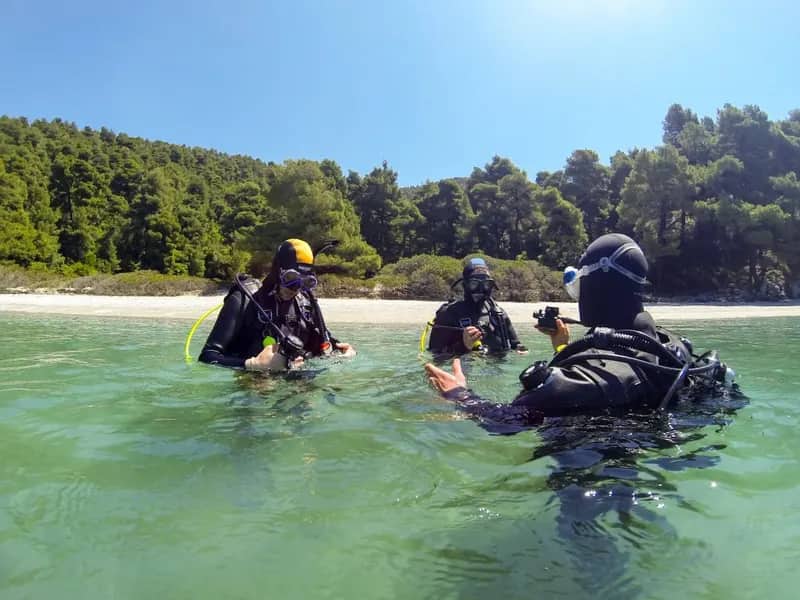 Meeresschutz auf Alonissos (4)