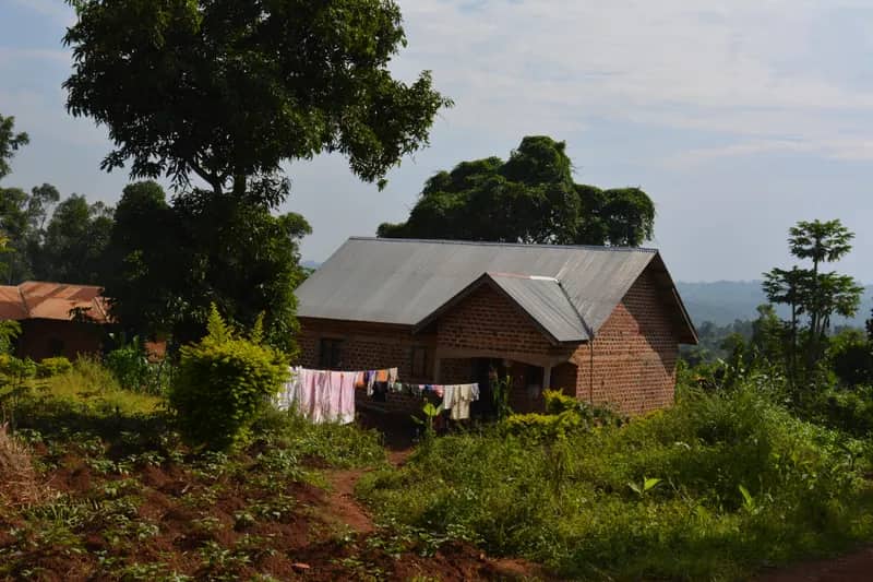 Farm in Kajjansi, Uganda - Freiwilligenarbeit