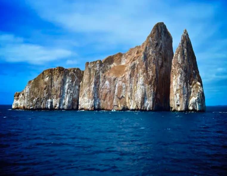 Galapagos Experience