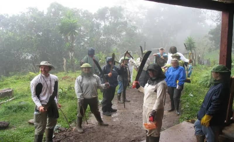 Freiwillige helfen im Naturschutzprojekt Galapagos