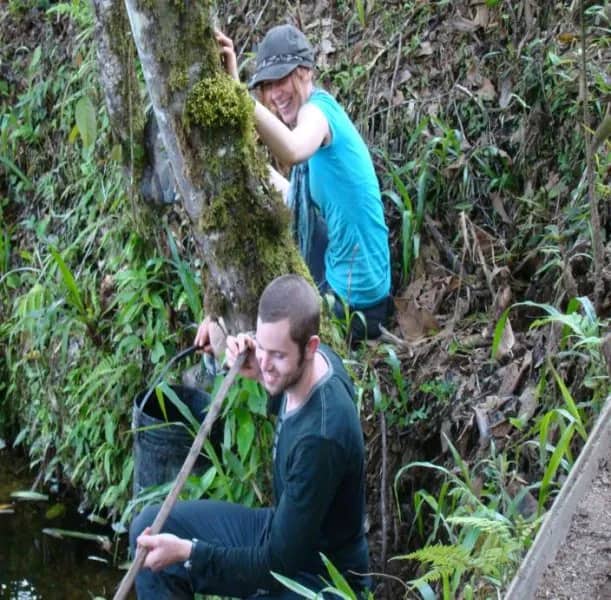 Freiwillige entfernen invasive Pflanzen, Ecuador