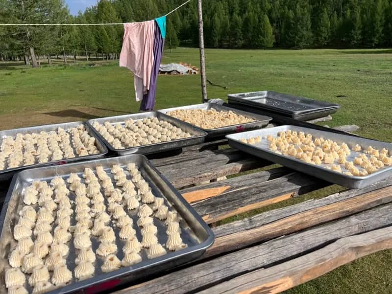 Eindrücke aus der Mongolei – Freiwilligenarbeit (10)