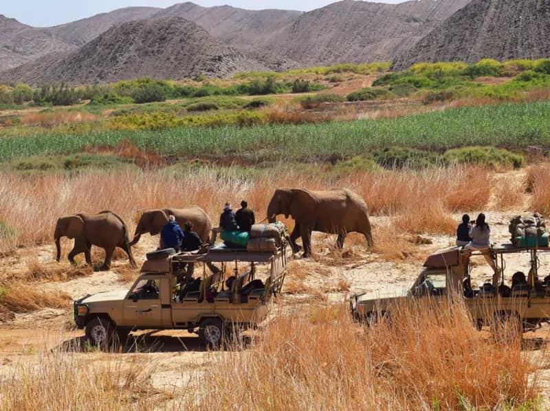 Elefanten-Schutzprojekt in Namibia (1)