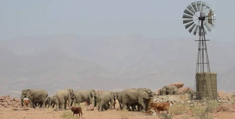 Elefanten-Schutzprojekt in Namibia (12)
