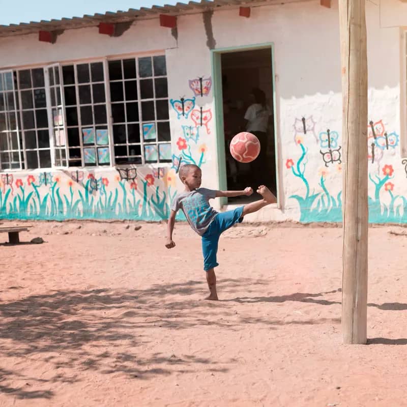 Wildlife-Conservation-Projekt in Namibia (3)