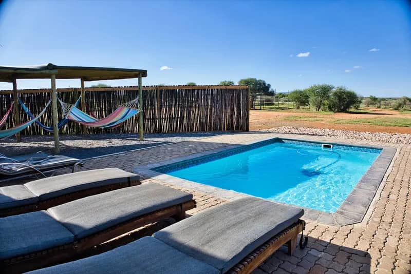 Wildlife-Conservation-Projekt in Namibia (5)