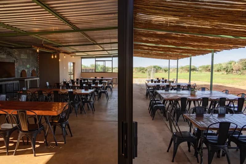 Wildlife-Conservation-Projekt in Namibia (6)