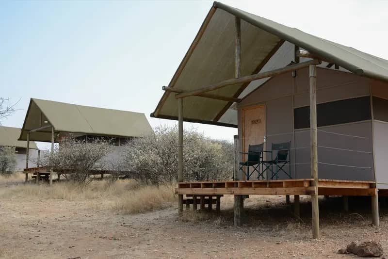Wildlife-Conservation-Projekt in Namibia (7)