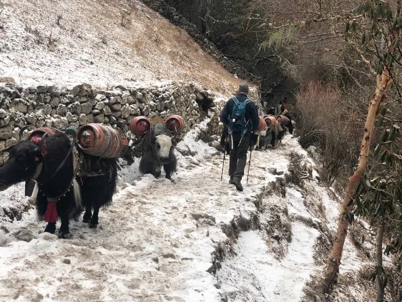 Everest Wandertour Nepal – Trekking zum Everest Base Camp