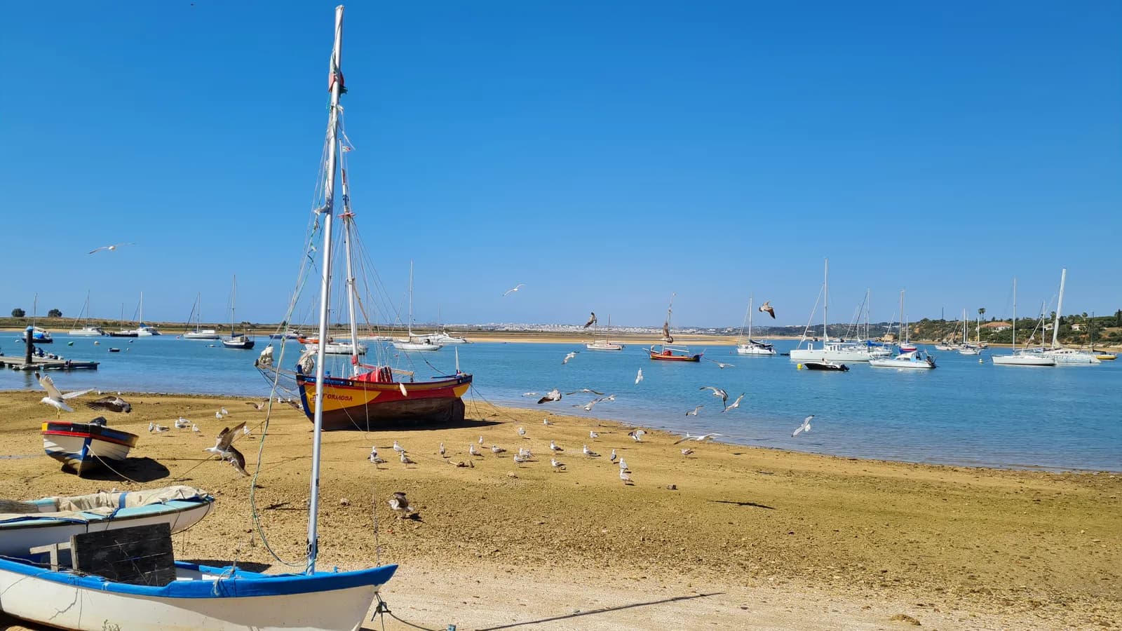 Work & Travel in Portugal – ein Erfahrungsbericht von Malina