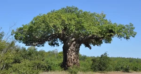 Erfahrungsbericht Freiwilligenarbeit Südafrika