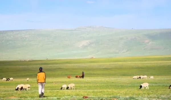 Meikes Erfahrungsbericht - Freiwilligenarbeit in der Mongolei