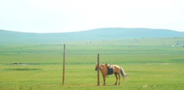 Meikes Erfahrungsbericht - Freiwilligenarbeit in der Mongolei, reiten