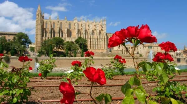 Palma de Mallorca - Erfahrungsbericht Au-Pair