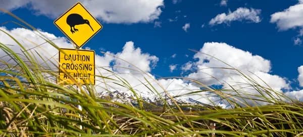 Kiwi crossing, Au-Pair in Neuseeland