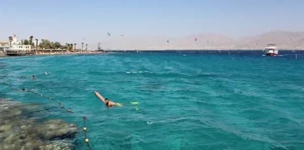 Erfahrungsbericht Freiwilligenarbeit Israel Korallenriff Eilat