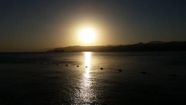 Freiwilligenarbeit Israel - Sonnenuntergang - Nataschas Erfahrungsbericht