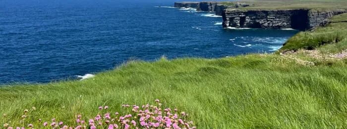 Besuch bei unserer Partnerorganisation für landwirtschaftliche Praktika in Irland