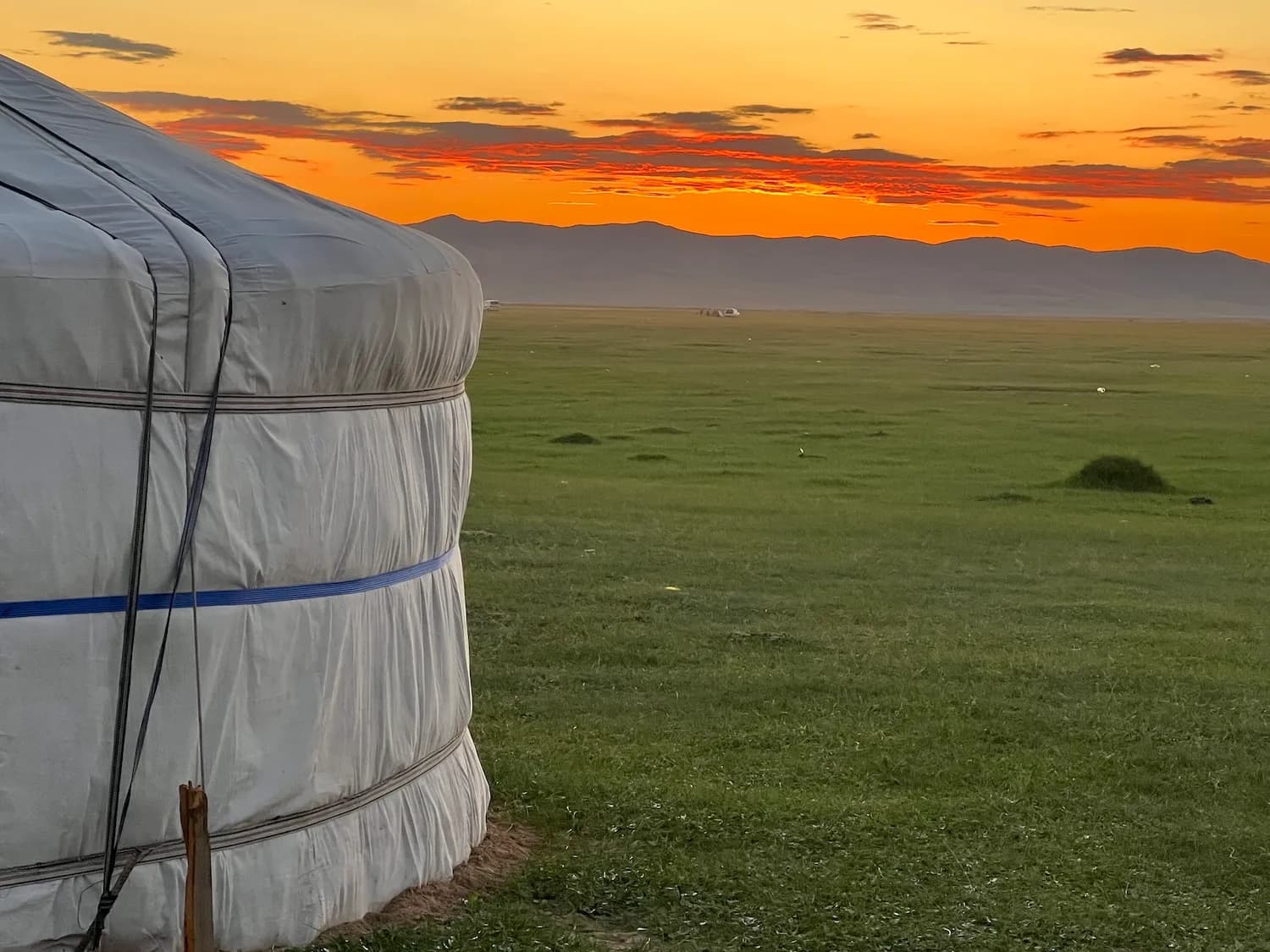 Besuch bei unserer Partnerorganisation in der Mongolei