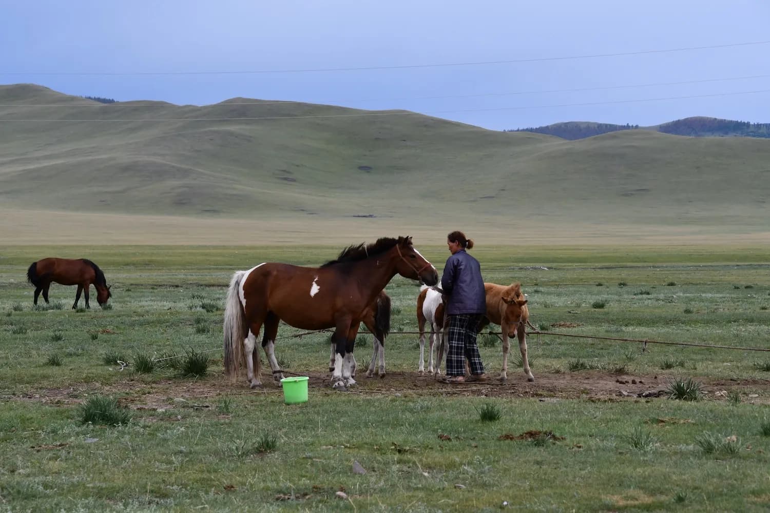 Besuch bei unserer Partnerorganisation in der Mongolei