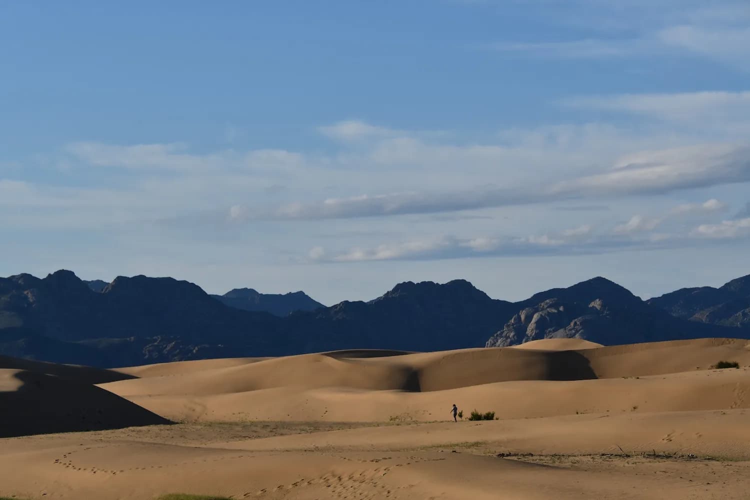 Besuch bei unserer Partnerorganisation in der Mongolei