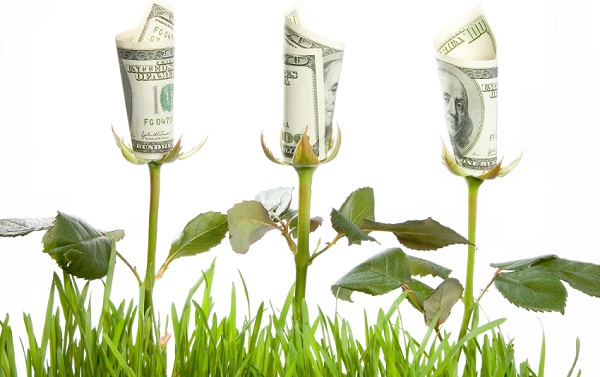 Sammeln Sie Geld für Freiwilligenarbeit!